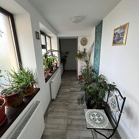 Solaria Budget Studio Galaţi Esterno foto
